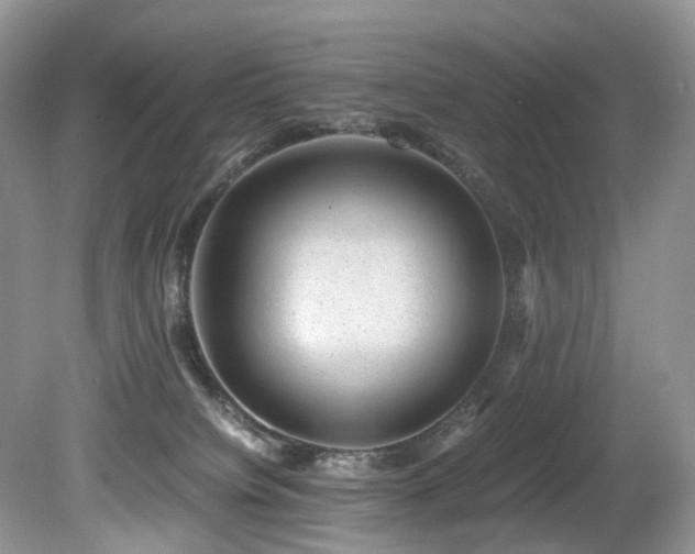 X0000080190084200612081438
