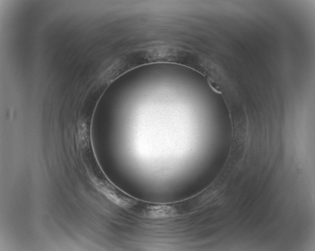 X0000080190087200612081438