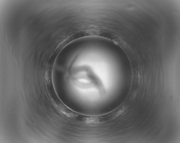 X0000080190088200612081438