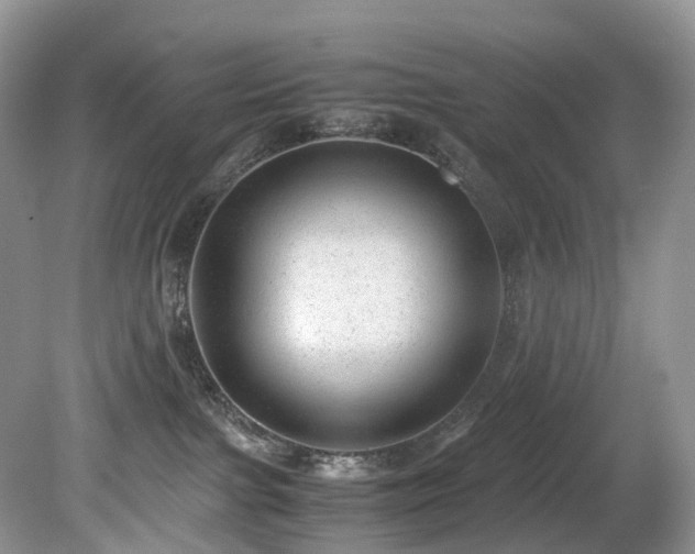 X0000080190091200612081438