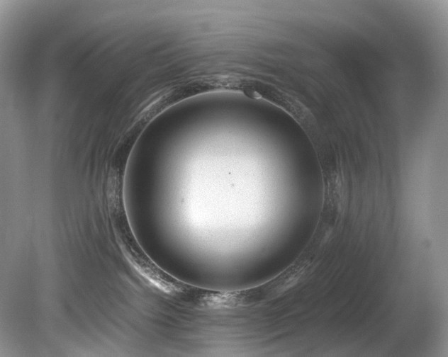 X0000080190092200612081438