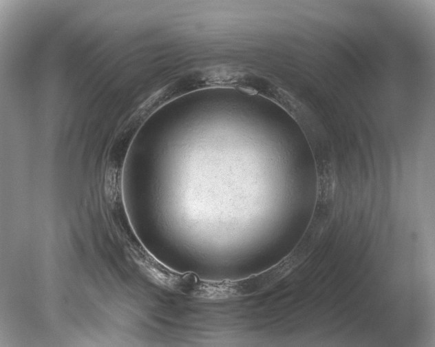 X0000080190093200612081438