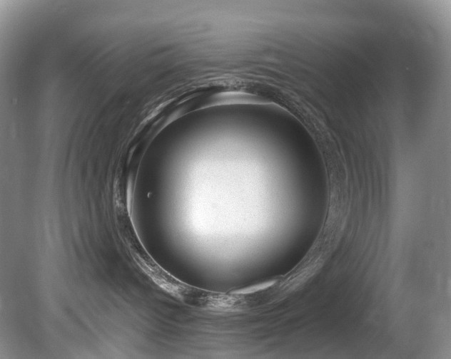 X0000080190096200612081439