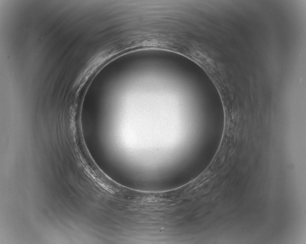 X0000080190098200612081438