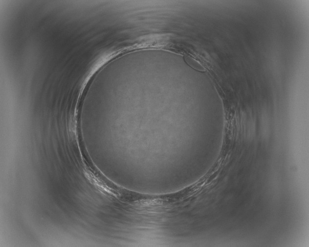 X0000080190100200612081438