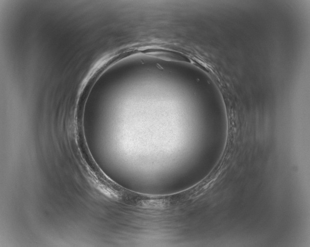 X0000080190102200612081438
