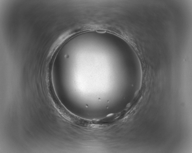 X0000080190103200612081438
