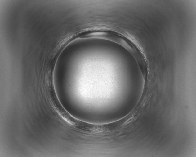 X0000080190105200612081438