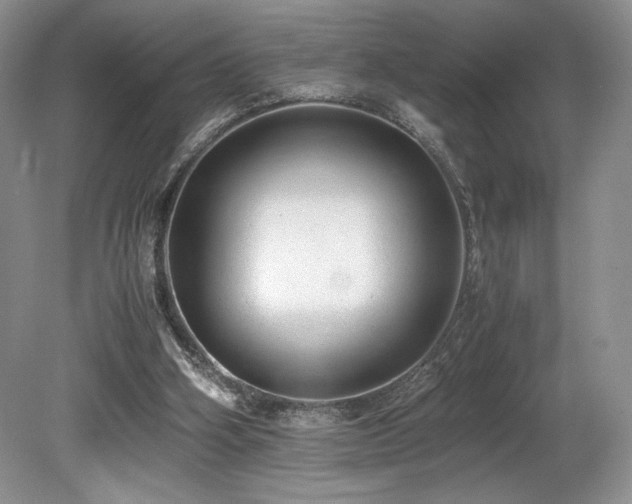 X0000080190106200612081438