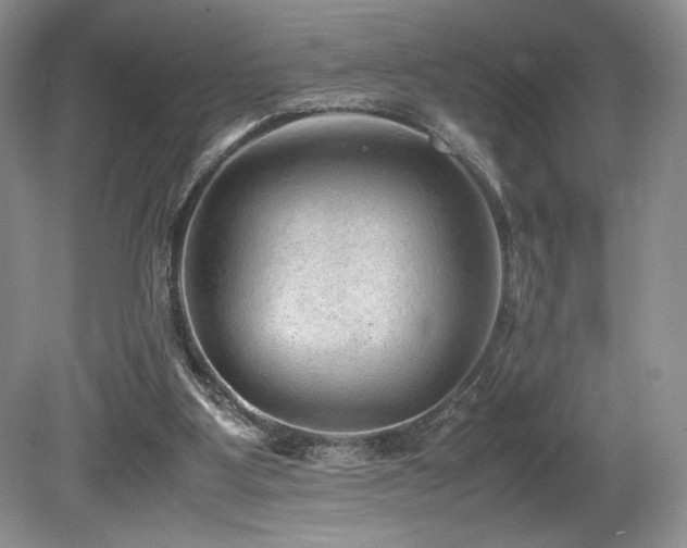 X0000080190107200612081438