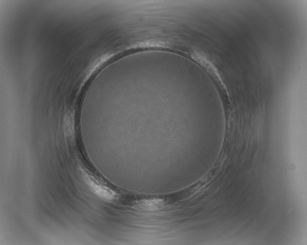 X0000080190108200612081438