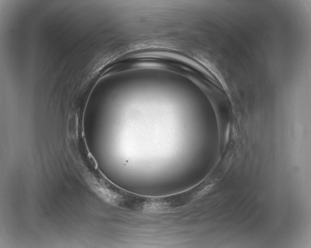 X0000080190109200612081438