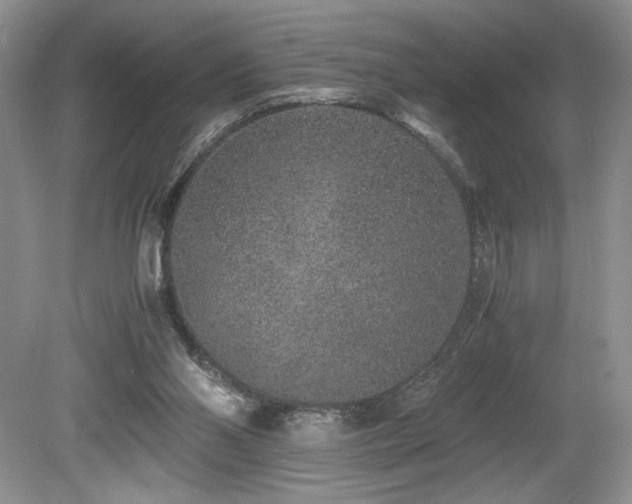 X0000080190110200612081437