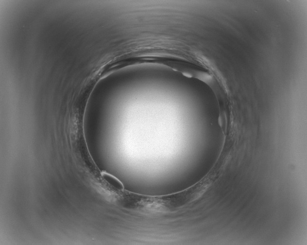 X0000080190113200612081437