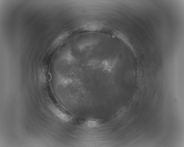 X0000080190114200612081437