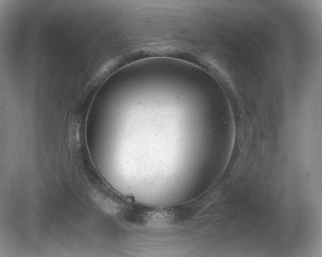 X0000080190115200612081437