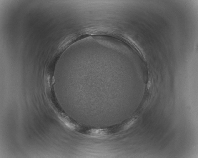 X0000080190117200612081437