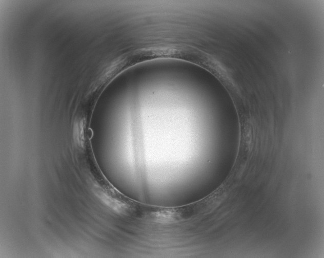 X0000080190118200612081437