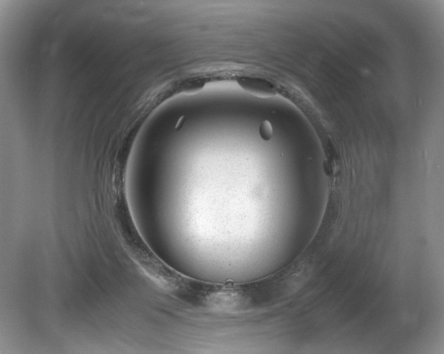 X0000080190119200612081437