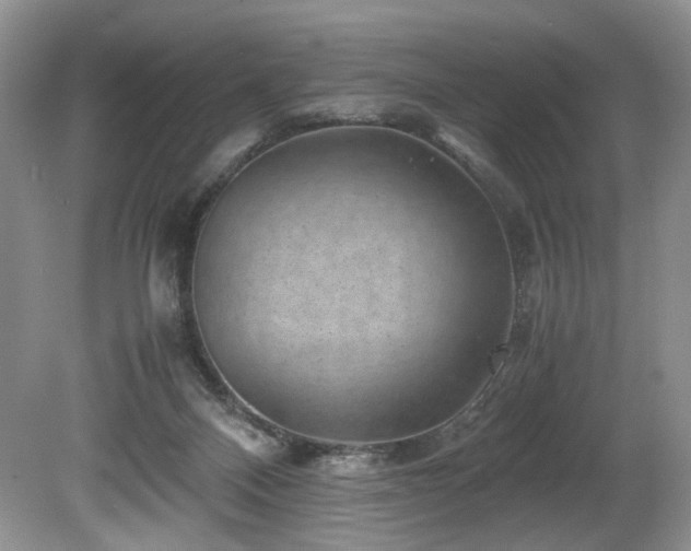 X0000080190120200612081437