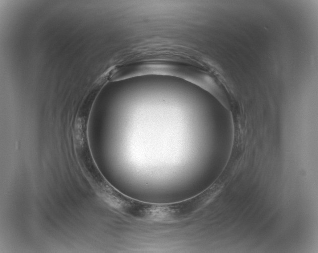 X0000080190121200612081437