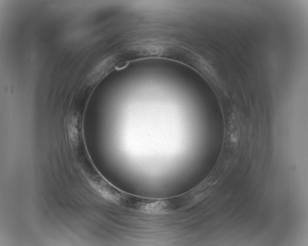 X0000080190122200612081437