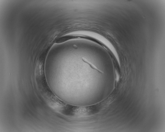 X0000080190123200612081437