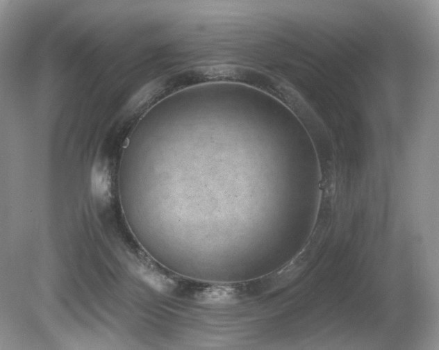 X0000080190124200612081437