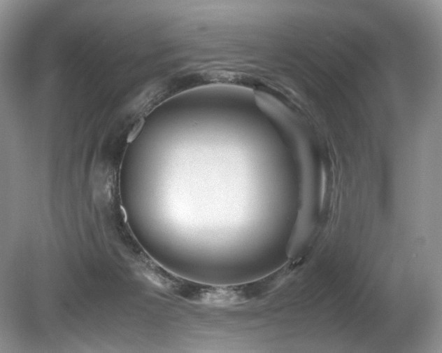 X0000080190125200612081437