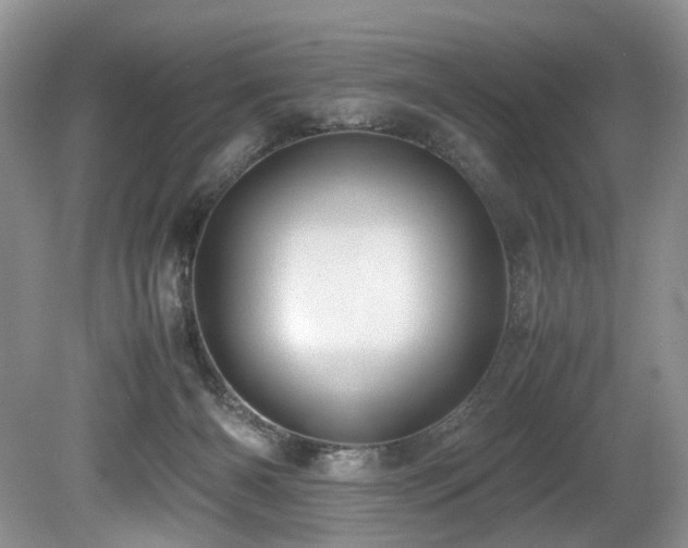 X0000080190126200612081437