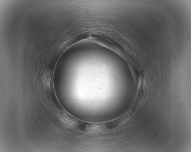 X0000080190129200612081437