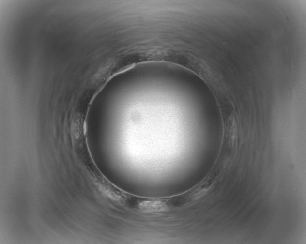 X0000080190133200612081437