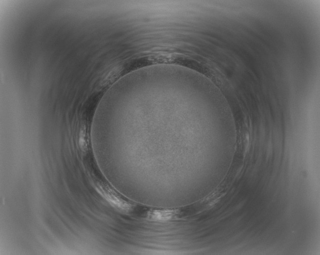 X0000080190134200612081437