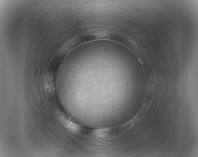 X0000080190136200612081437