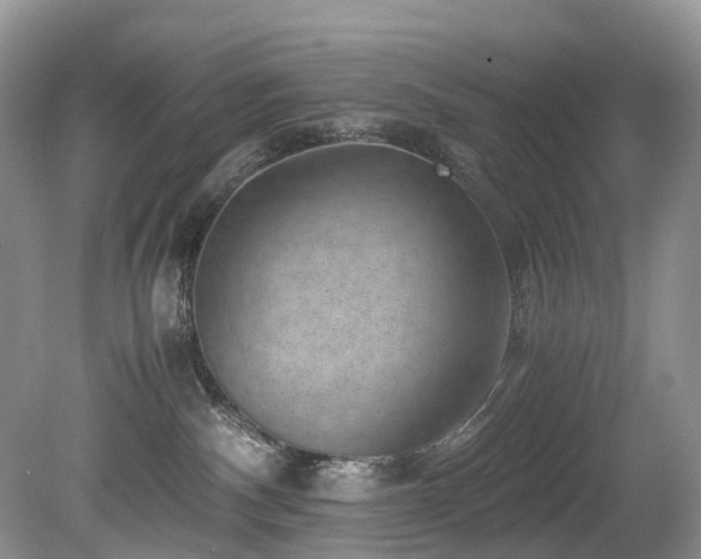 X0000080190140200612081437