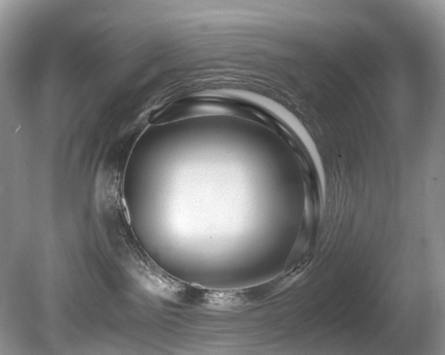 X0000080190141200612081437