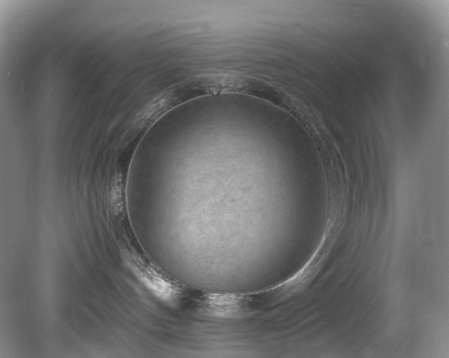 X0000080190144200612081437