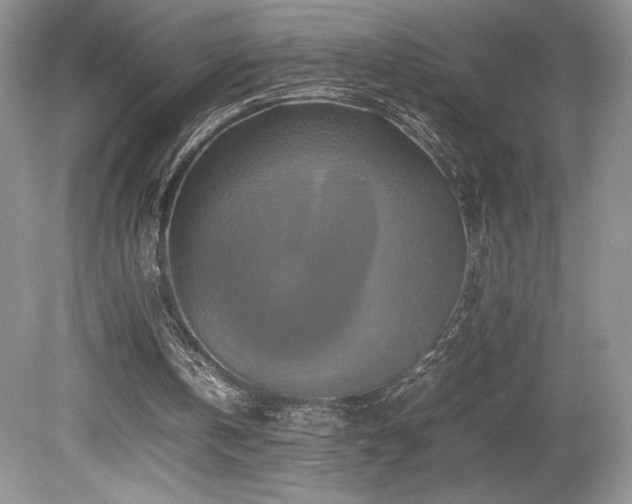 X0000080190146200612081436