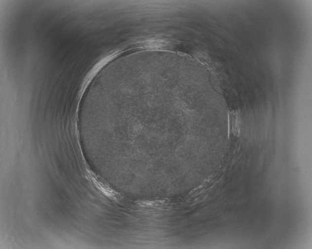 X0000080190147200612081436