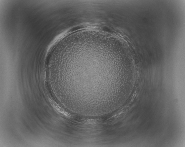 X0000080190149200612081436
