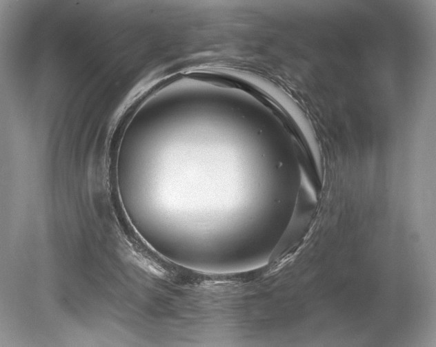 X0000080190150200612081436