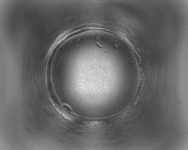 X0000080190151200612081436