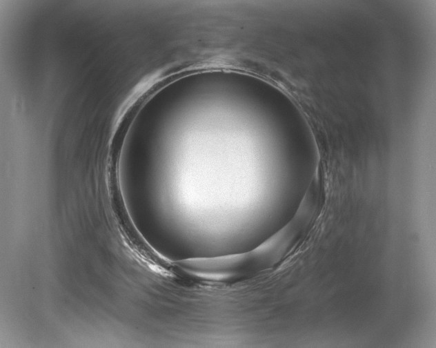 X0000080190152200612081436