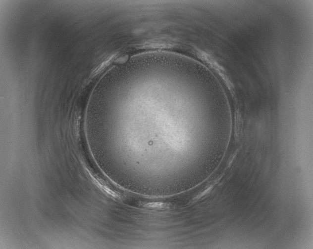 X0000080190153200612081436