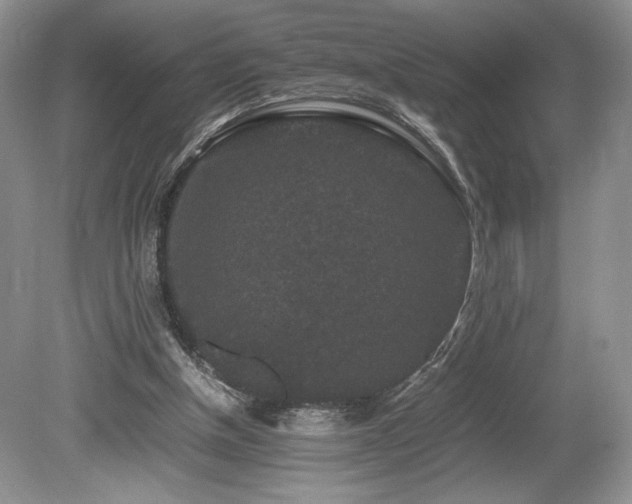 X0000080190154200612081436