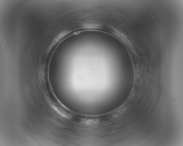 X0000080190155200612081436