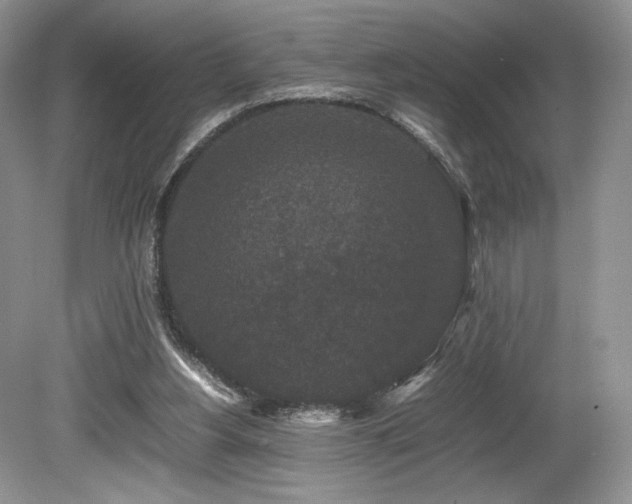 X0000080190156200612081436