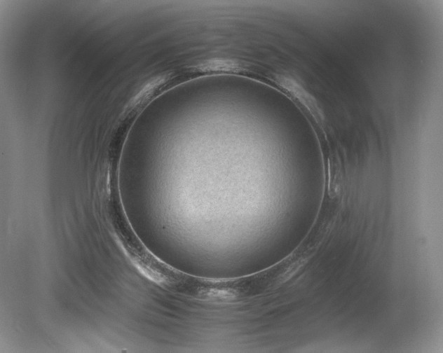 X0000080190157200612081436