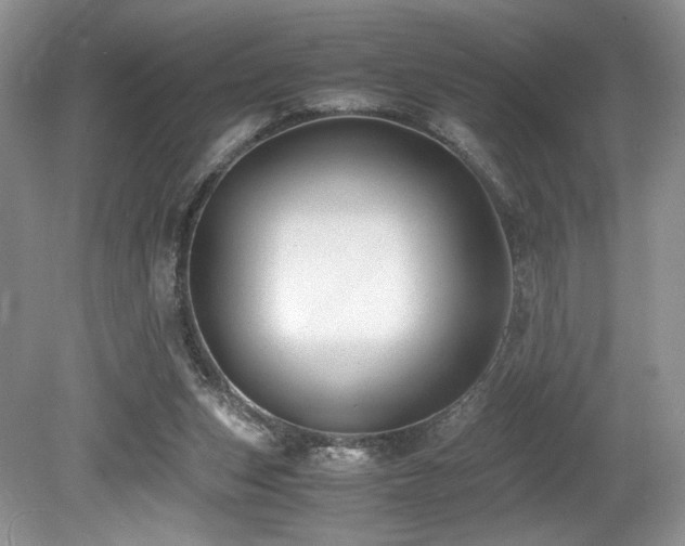 X0000080190159200612081436