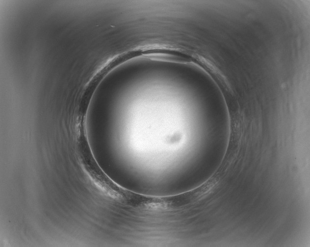 X0000080190160200612081436